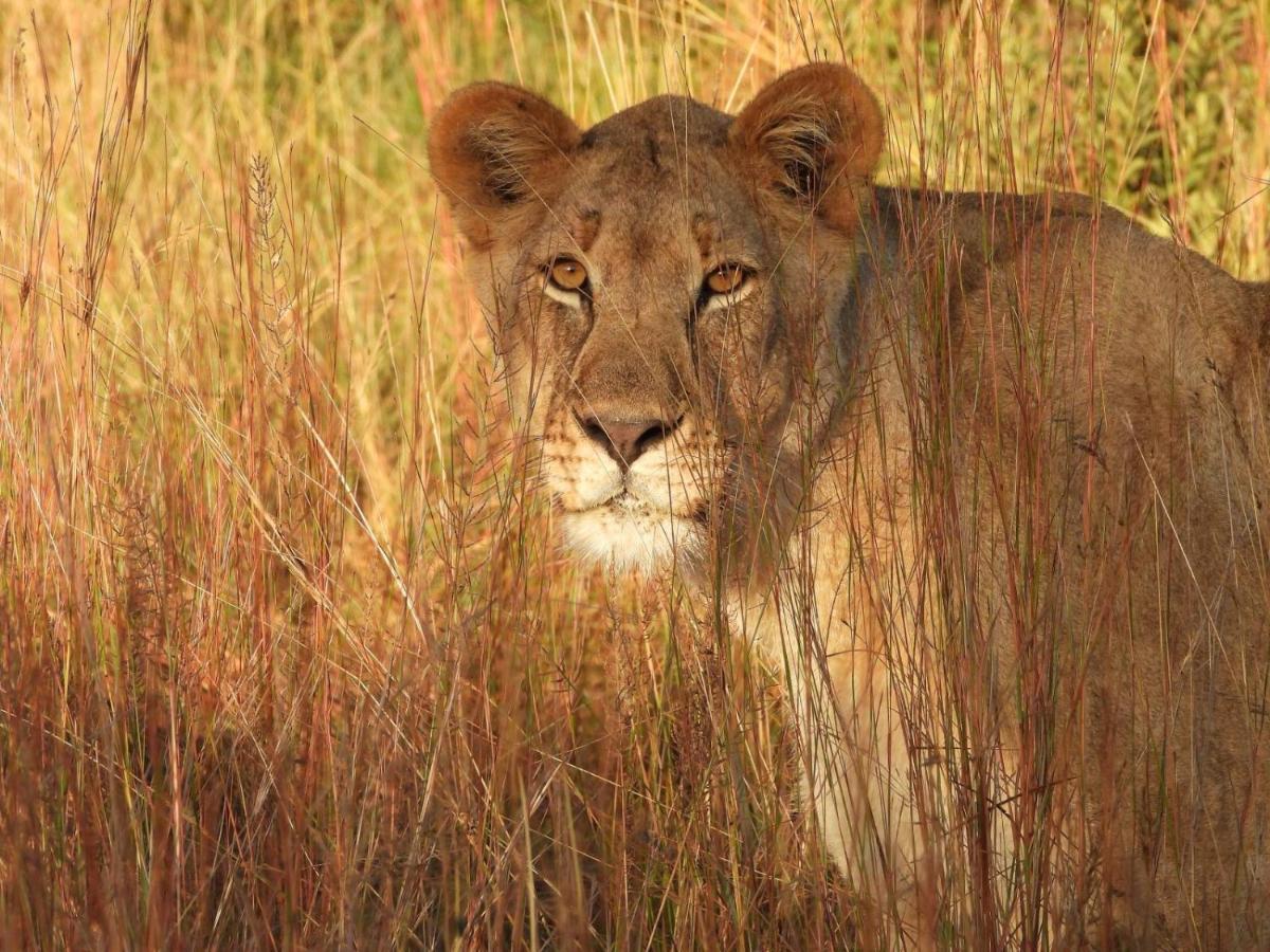 Kwalata Game Lodge Klipdrift ภายนอก รูปภาพ