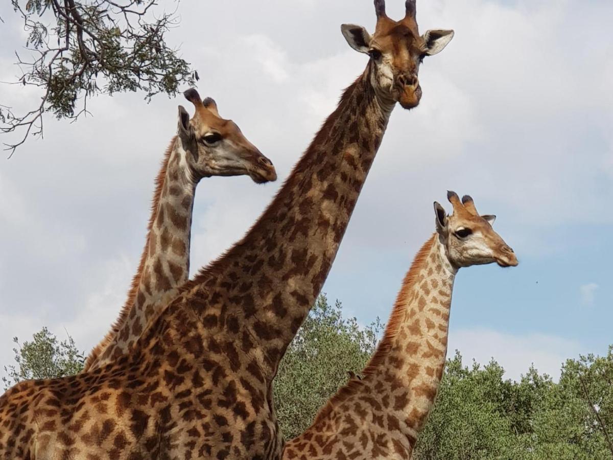 Kwalata Game Lodge Klipdrift ภายนอก รูปภาพ