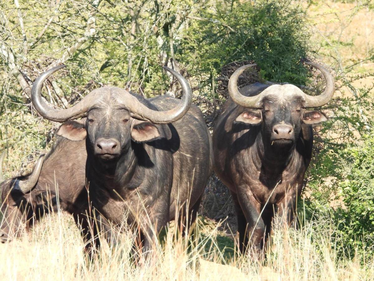 Kwalata Game Lodge Klipdrift ภายนอก รูปภาพ