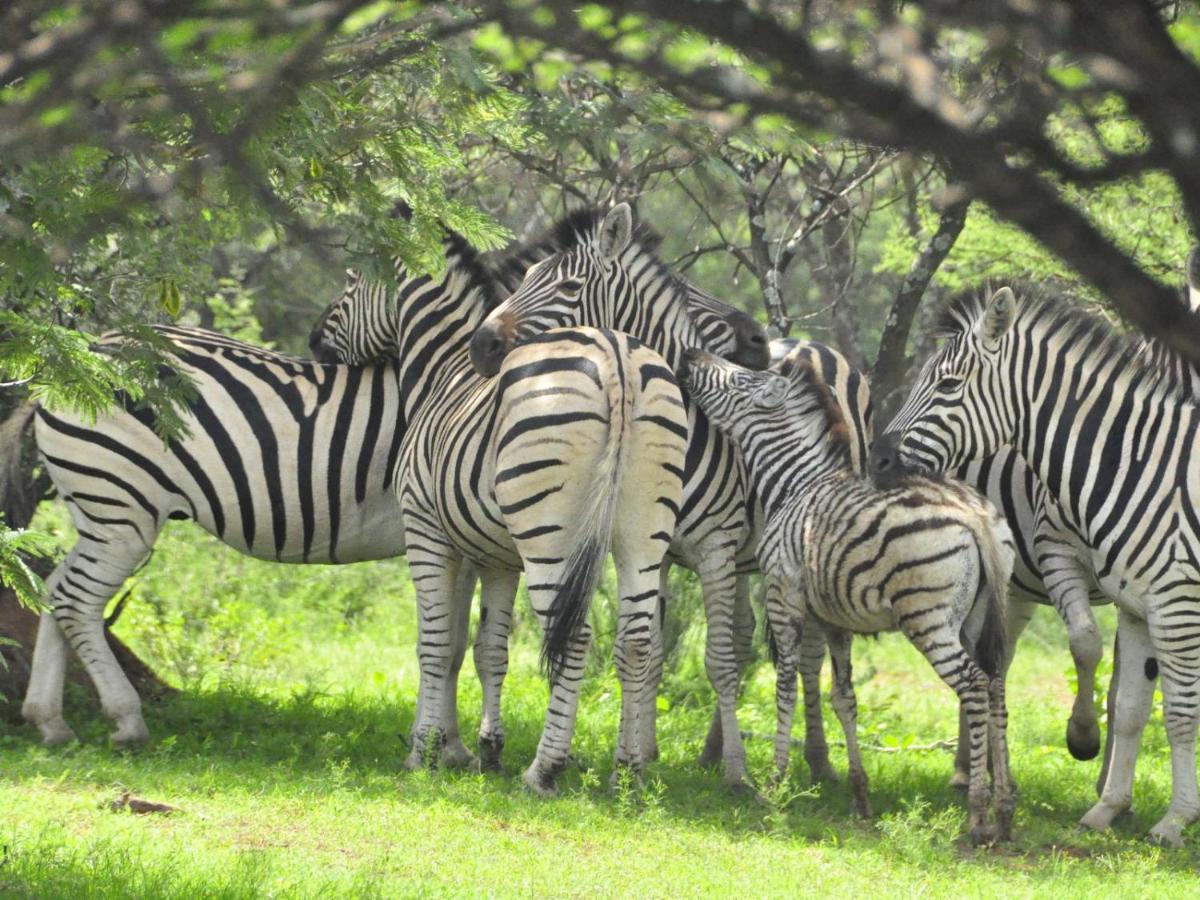 Kwalata Game Lodge Klipdrift ภายนอก รูปภาพ